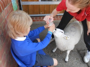 Farm Visit 06.06.14 034